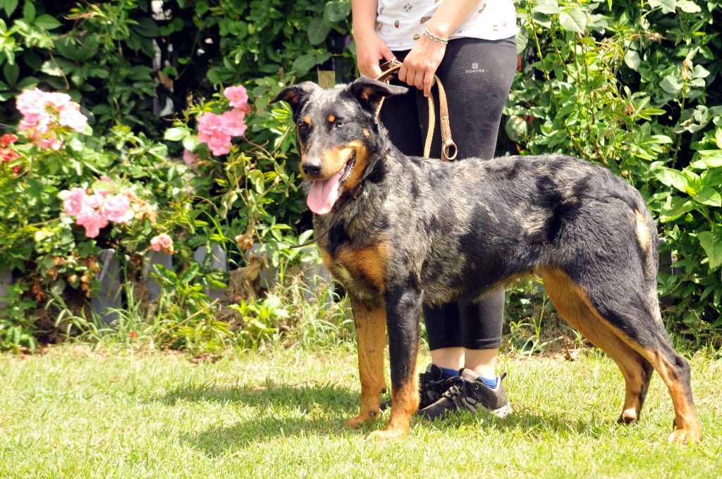 Publication : du berceau de bfamily