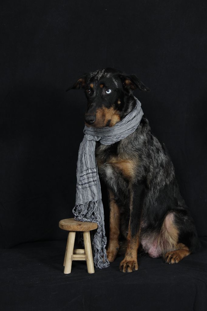 Publication : du berceau de bfamily