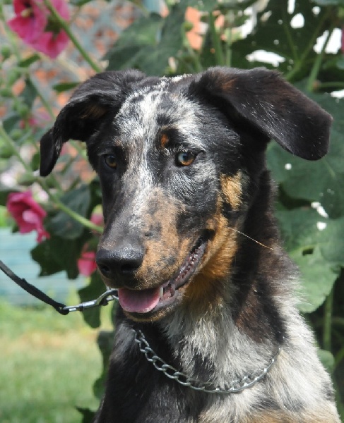 Publication : du berceau de bfamily Auteur : j.Avelin