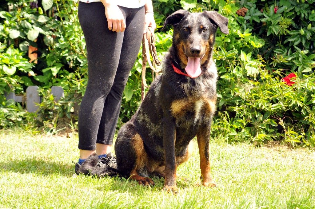 Publication : du berceau de bfamily Auteur : j.Avelin