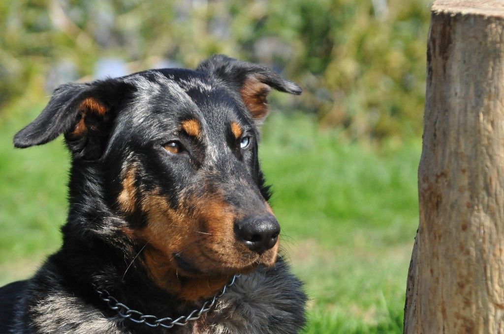 Publication : du berceau de bfamily