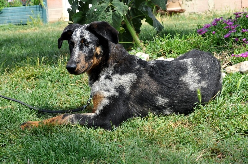 Publication : du berceau de bfamily Auteur : j.Avelin