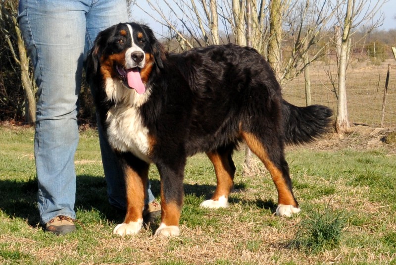 Publication : du berceau de bfamily