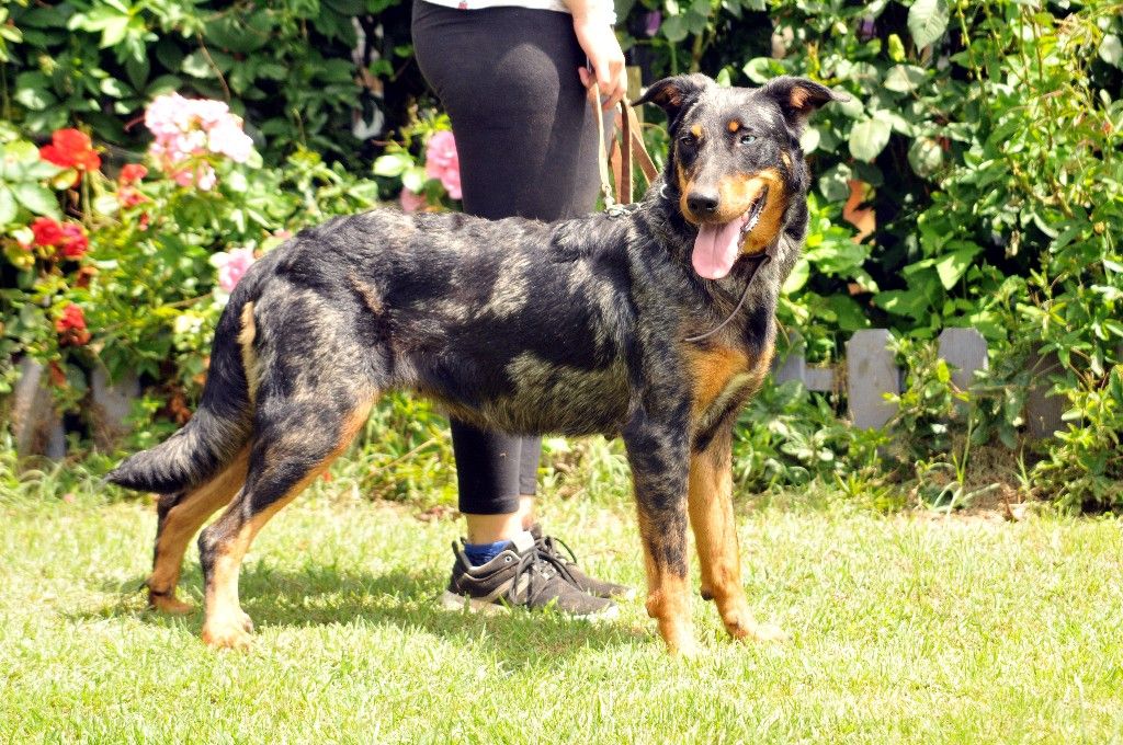 Publication : du berceau de bfamily