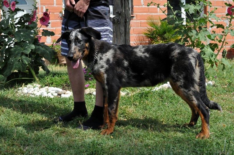 Publication : du berceau de bfamily Auteur : j.Avelin