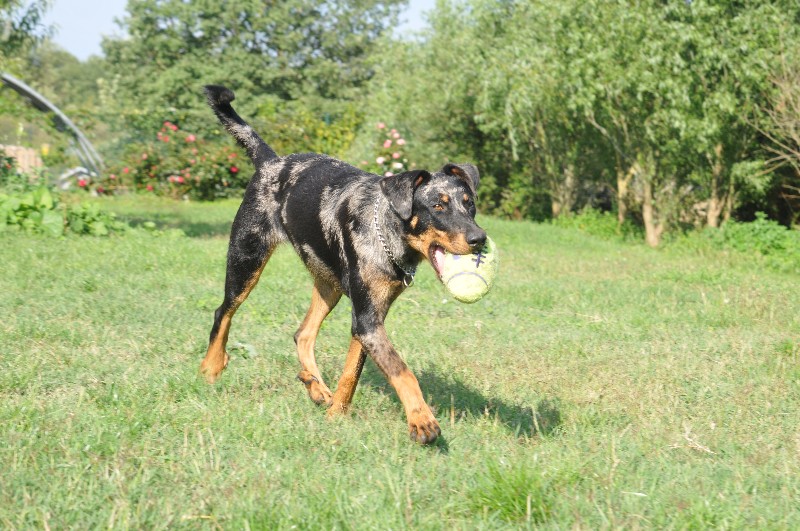 Publication : du berceau de bfamily Auteur : j.Avelin