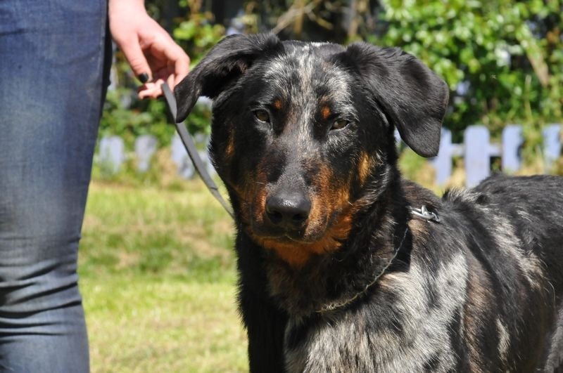 Publication : du berceau de bfamily Auteur : j.Avelin