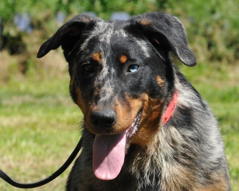 Publication : du berceau de bfamily