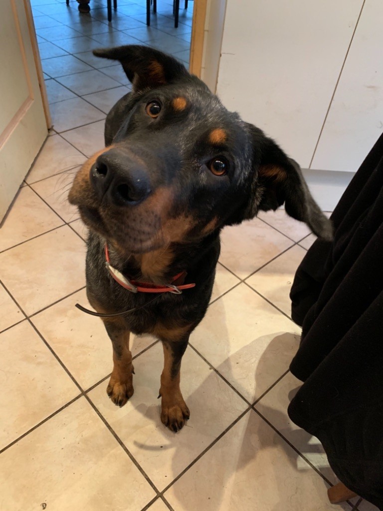 Publication : du berceau de bfamily