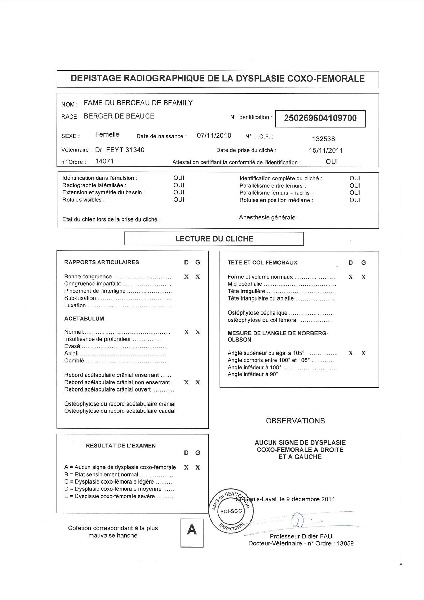 Publication : du berceau de bfamily Auteur : j.Avelin
