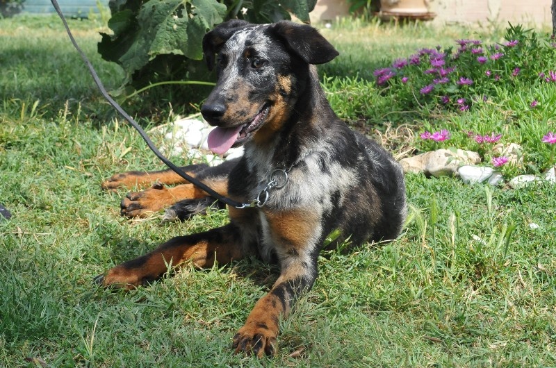 Publication : du berceau de bfamily Auteur : j.Avelin