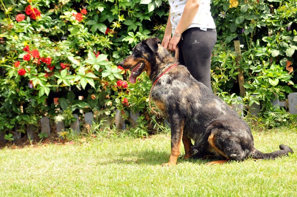 Publication : du berceau de bfamily Auteur : j.Avelin