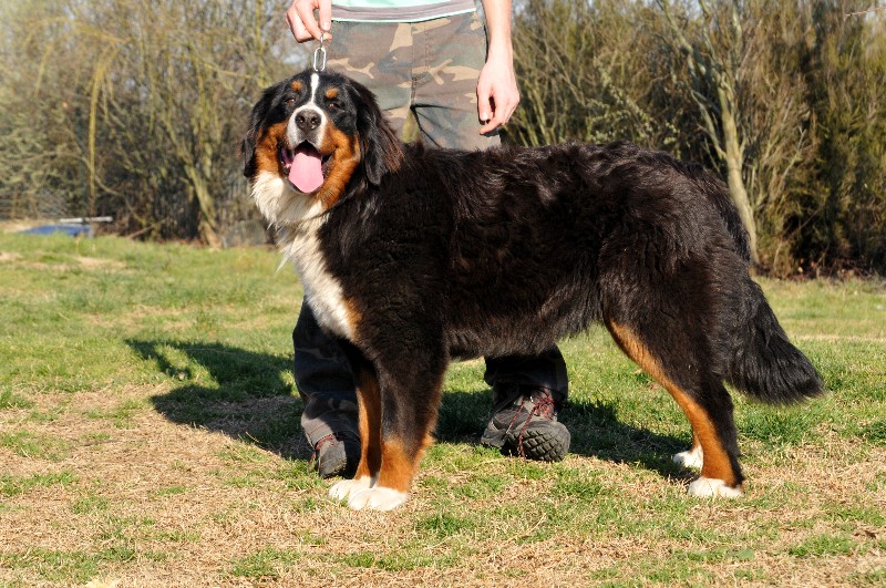 Publication : du berceau de bfamily