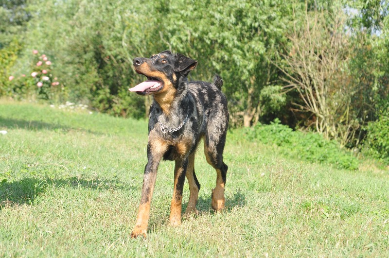 Publication : du berceau de bfamily Auteur : j.Avelin