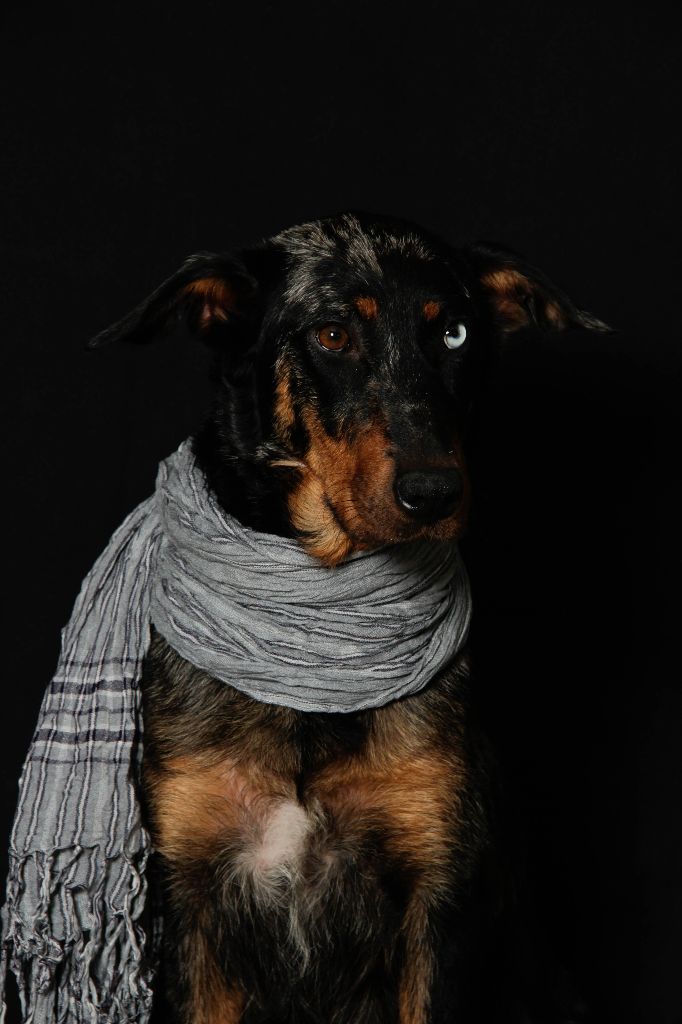 Publication : du berceau de bfamily