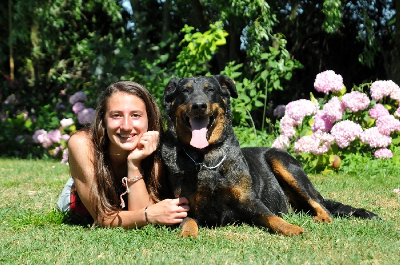 Publication : du berceau de bfamily Auteur : j.Avelin