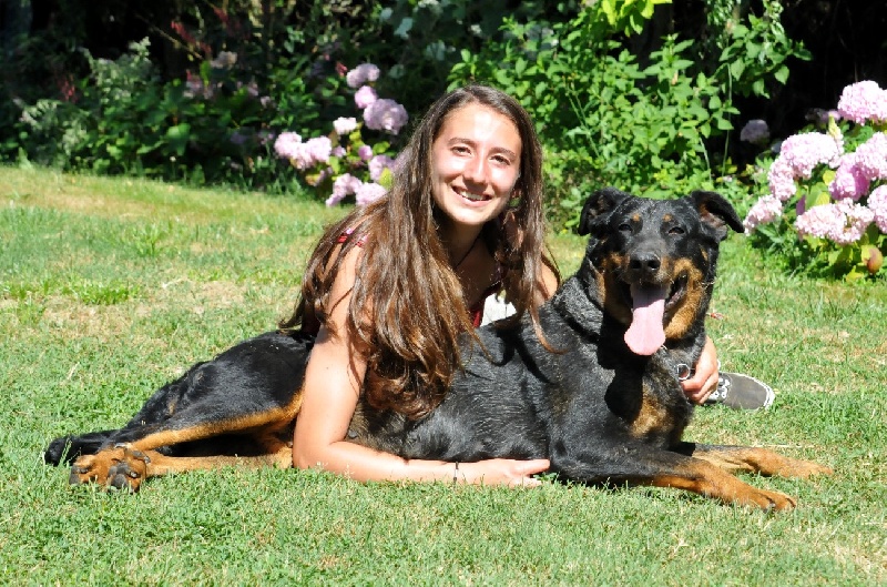 Publication : du berceau de bfamily Auteur : j.Avelin