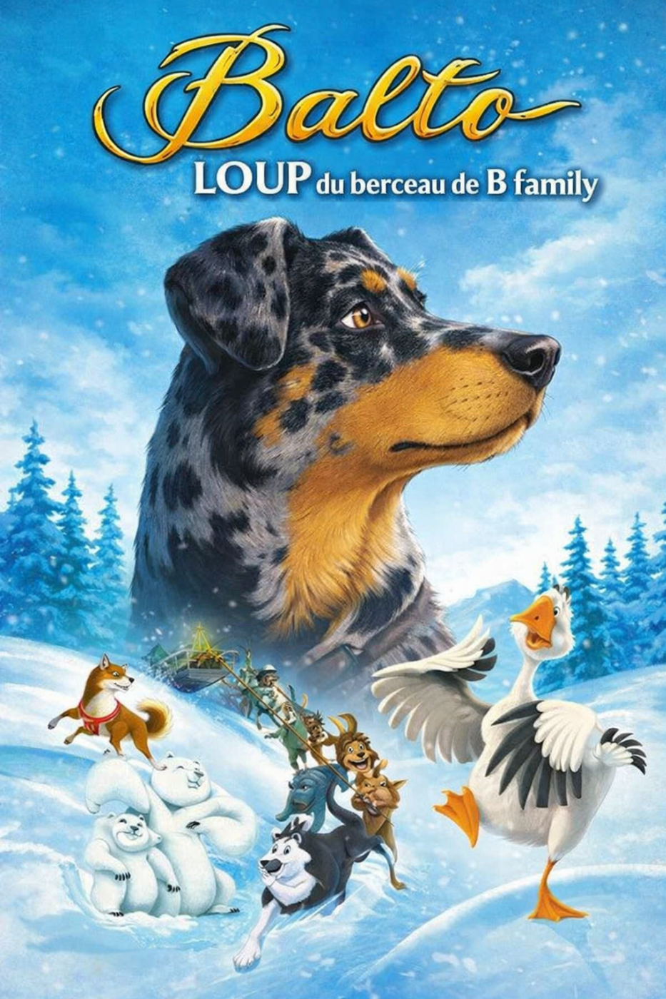 Balto loup collier marron arl.