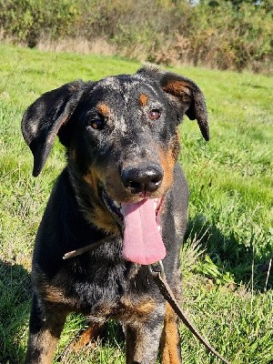 Prix réduit en raison de l'âge
LOF 176752
Adamo est un grand charmeur