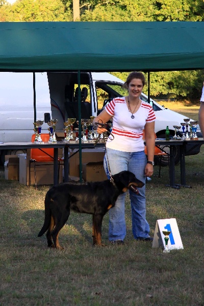 Elite du berceau de bfamily - 1ere en classe puppy femelle
