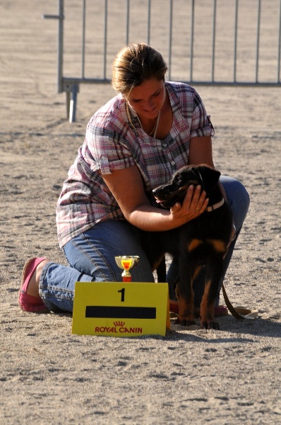 Heyla du berceau de bfamily - 1er femelle classe baby
