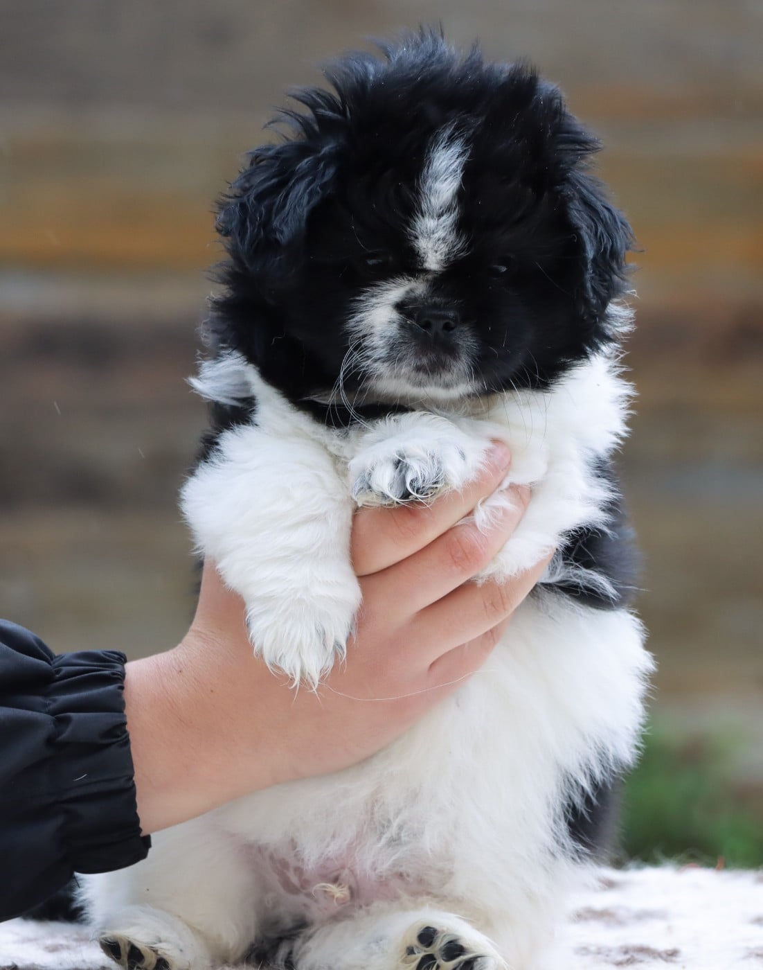 Bjorn