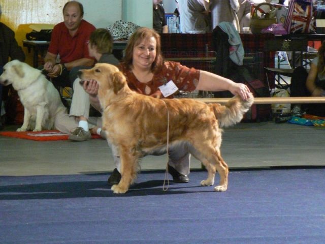 Isis of grindstone valley - 2ème TB Qualificatif d'admission elevage losh