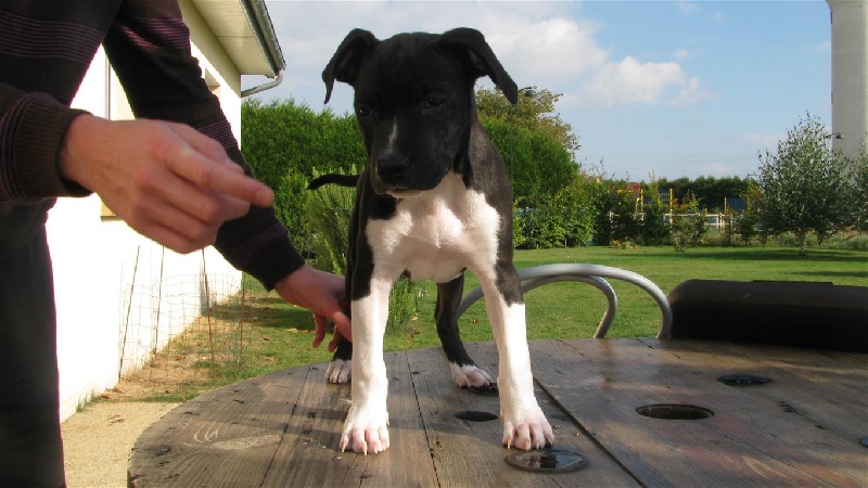 Florida from Urcos Not Dead