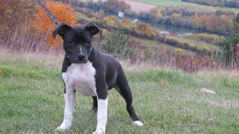 Florida from Urcos Not Dead