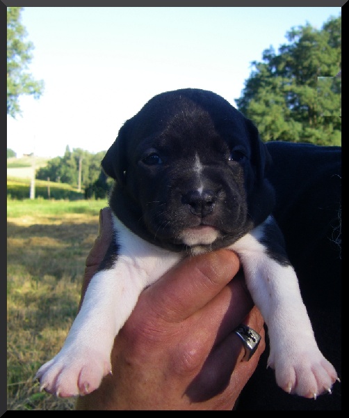 Florida from Urcos Not Dead