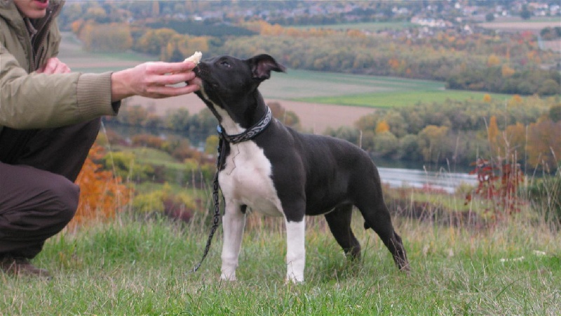 Florida from Urcos Not Dead