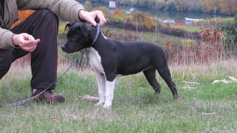 Florida from Urcos Not Dead