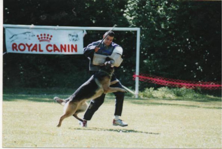 CH. Rudy Du normont - B-