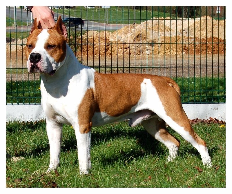 Publication : Spirit of old