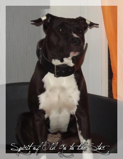 Spirit of old Go to the star