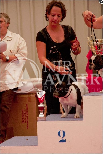 Gwenn du laouvas - 2e Exc COF