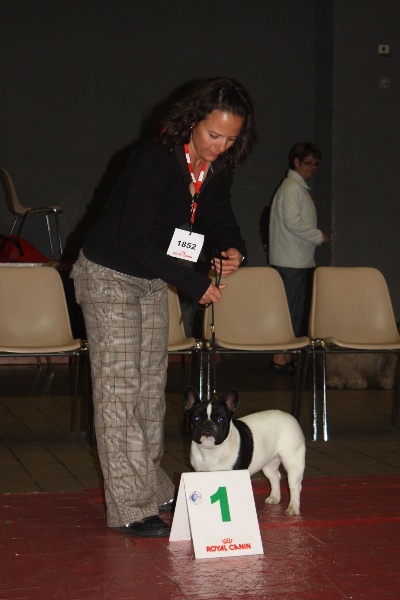 Gwenn du laouvas - 1ier TP puppy - 2e puppy de l'expo