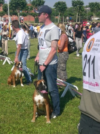 Canas des vents de mer - 6ème EXCELLENT sur 45 chiennes