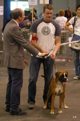 Canas des vents de mer - 1er EXCELLENT C.A.C.S ET C.A.C.IB