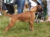 Canas des vents de mer - 1er EXCELLENT R.C.A.C.S