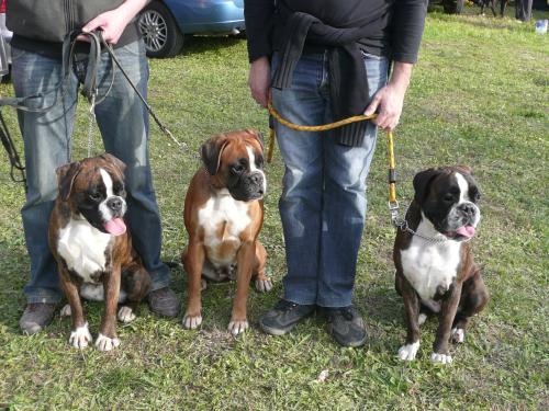 Canas des vents de mer - 3 EME EXCELLENT