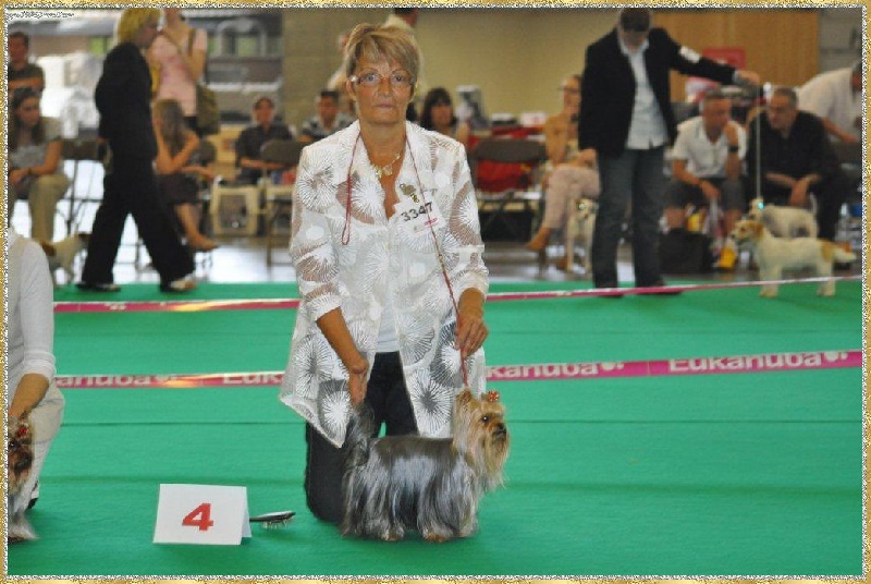 Delsy des Yorks du Petit Chambonnais - 4éme Excellent Classe Intermédiaire