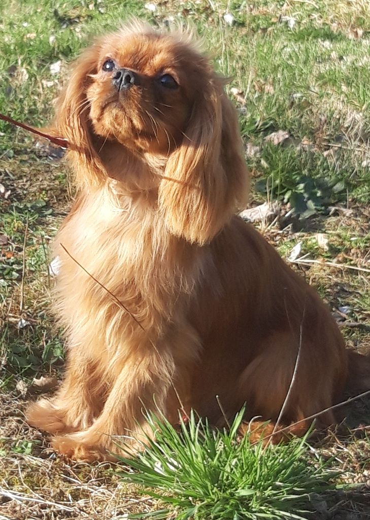 Publication : D'ysatis