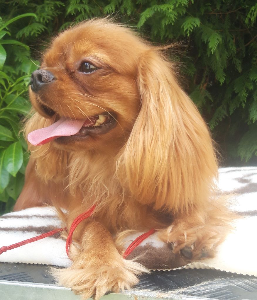 Publication : D'ysatis