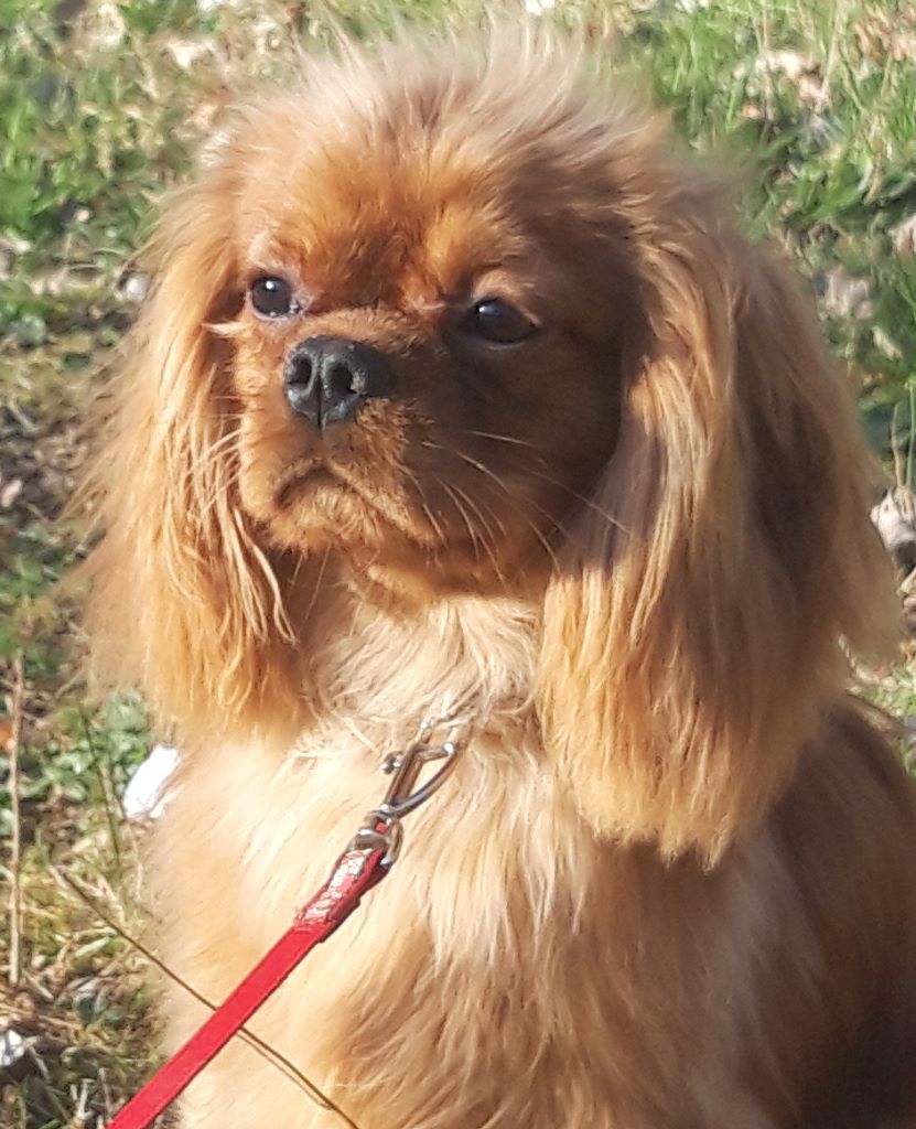 Publication : D'ysatis