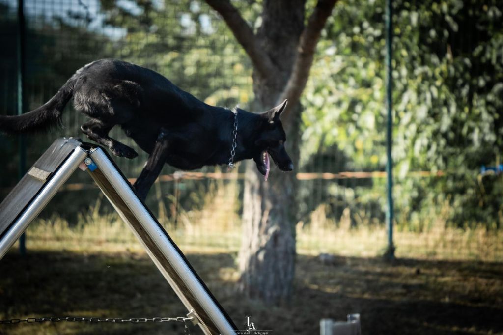 Eddie ze zemé qwannabe