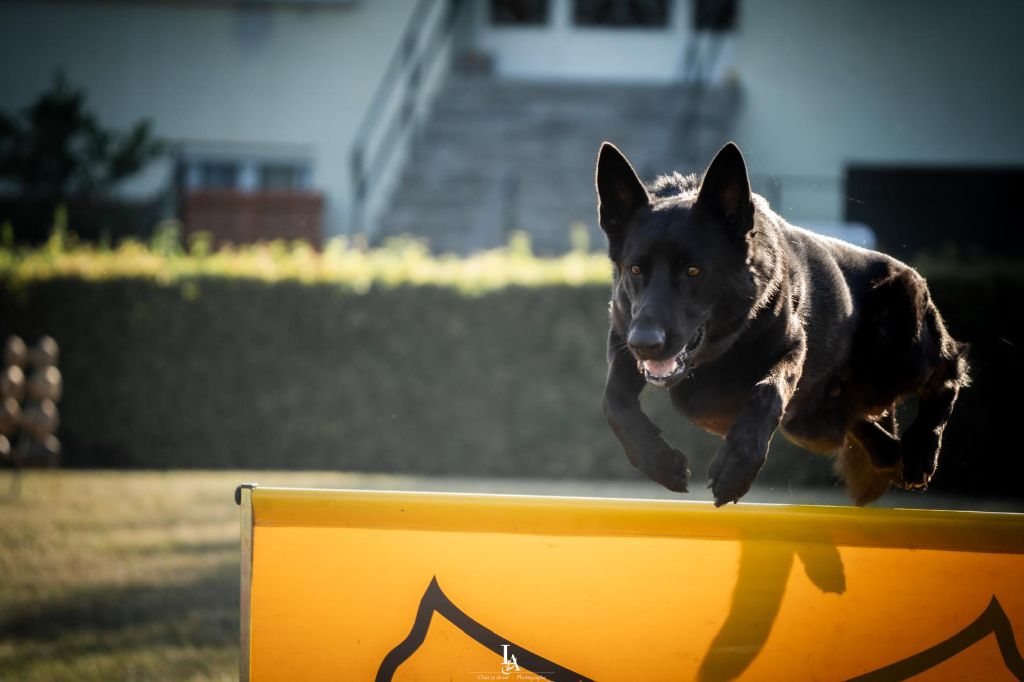 Eddie ze zemé qwannabe