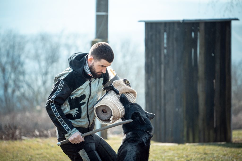 Eddie ze zemé qwannabe - TAU