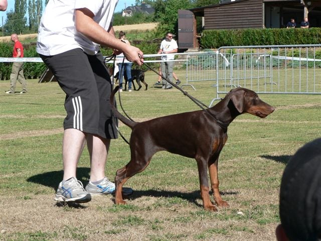 Publication : des Yeux de la Revanche Auteur : les yeux de la revanche