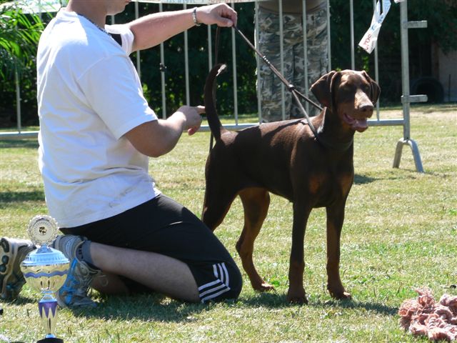 Publication : des Yeux de la Revanche Auteur : les yeux de la revanche